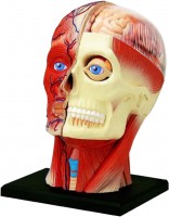 Купить 3D пазл 4D Master Head 626103: цена от 1026 грн.