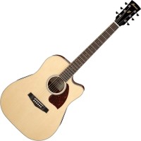 Купить гитара Ibanez PF16WCE: цена от 12800 грн.