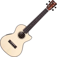 Купить гитара Cordoba 21T-CE: цена от 11320 грн.