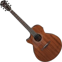 Купить гитара Ibanez AE295L: цена от 27999 грн.