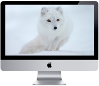 Купить персональный компьютер Apple iMac 21.5" 2013 (Z0PE0003K) по цене от 73574 грн.