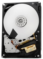 Купить жесткий диск Hitachi Deskstar NAS (HDN726050ALE610)