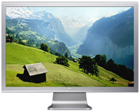 Купить монитор Apple Cinema HD Display 30"  по цене от 81691 грн.