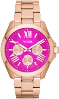 Купить наручные часы FOSSIL AM4549  по цене от 5590 грн.
