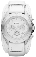 Купити наручний годинник FOSSIL CH2858  за ціною від 4719 грн.