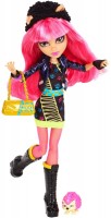 Купить кукла Monster High 13 Wishes Howleen Wolf Y7710: цена от 3990 грн.