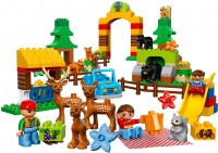 Купить конструктор Lego Forest 10584  по цене от 4499 грн.