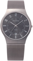 Купить наручные часы Skagen 233XLTTM: цена от 4990 грн.