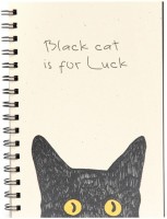 Купить блокнот Kraft Notebook Black Cat  по цене от 285 грн.