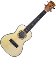 Купить гитара Parksons UK24Z: цена от 2911 грн.