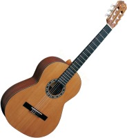 Купить гитара Admira Irene: цена от 12680 грн.