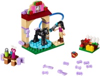 Купить конструктор Lego Foals Washing Station 41123  по цене от 279 грн.