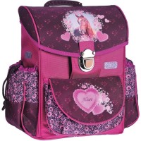 Купить школьный рюкзак (ранец) ZiBi Satchel Allure  по цене от 601 грн.