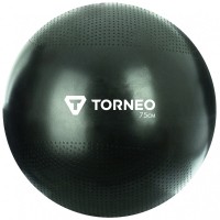 Купити М'яч для фітнесу / фітбол Torneo A-210  за ціною від 319 грн.
