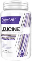 Купить аминокислоты OstroVit Leucine (200 g) по цене от 315 грн.