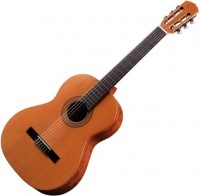 Купить гитара Antonio Sanchez 1020  по цене от 25625 грн.