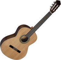 Купить гитара Paco Castillo Model 201  по цене от 9408 грн.