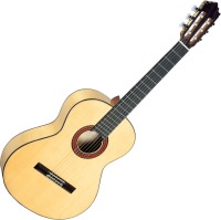 Купить гитара Paco Castillo Model 213F  по цене от 15178 грн.