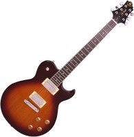 Купить гитара Samick AV10  по цене от 9941 грн.