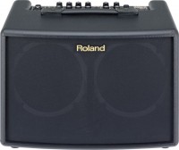 Купить гитарный усилитель / кабинет Roland AC-60  по цене от 30726 грн.