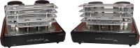 Купити підсилювач Mastersound Final 300B Monoblock Plus  за ціною від 805043 грн.