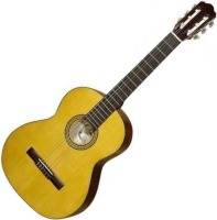 Купить гитара Hora Spanish 4/4: цена от 12400 грн.