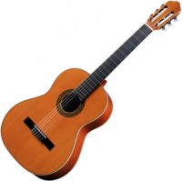 Купить гитара Antonio Sanchez 1005  по цене от 21788 грн.