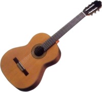 Купить гитара Antonio Sanchez 1010  по цене от 26472 грн.