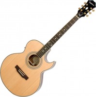 Купить гітара Epiphone PR-5E: цена от 22563 грн.