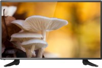 Купити телевізор Elenberg 32DH4330  за ціною від 4990 грн.