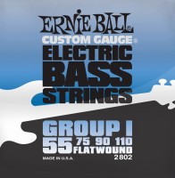Купити струни Ernie Ball Flatwound Group I Bass 55-110  за ціною від 2161 грн.