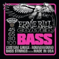 Купить струны Ernie Ball Slinky M-Steel Bass 45-100  по цене от 2099 грн.