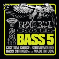 Купить струни Ernie Ball Slinky M-Steel Bass 45-130: цена от 2695 грн.