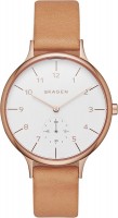 Купити наручний годинник Skagen SKW2405  за ціною від 5390 грн.