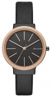 Купить наручные часы Skagen SKW2480  по цене от 5390 грн.