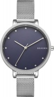 Купить наручные часы Skagen SKW2582  по цене от 5690 грн.