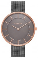 Купити наручний годинник Skagen SKW2584  за ціною від 5690 грн.