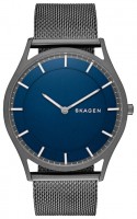 Купити наручний годинник Skagen SKW6223  за ціною від 6690 грн.