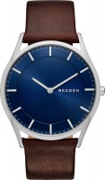 Купити наручний годинник Skagen SKW6237  за ціною від 5190 грн.