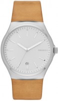 Купити наручний годинник Skagen SKW6261  за ціною від 4690 грн.