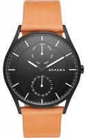 Купить наручные часы Skagen SKW6265  по цене от 5890 грн.
