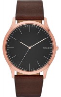 Купить наручные часы Skagen SKW6330  по цене от 5090 грн.