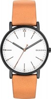 Купити наручний годинник Skagen SKW6352  за ціною від 5090 грн.