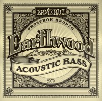 Купити струни Ernie Ball Earthwood Phosphor Bronze 45-95  за ціною від 1302 грн.