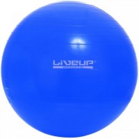 Купить мяч для фитнеса / фитбол LiveUp LS3221-65  по цене от 345 грн.