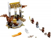 Купить конструктор Lego The Council of Elrond 79006  по цене от 12999 грн.