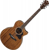 Купити гітара Ibanez AE245  за ціною від 22792 грн.