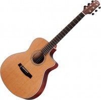 Купить гитара Walden G1070CEQ  по цене от 30591 грн.