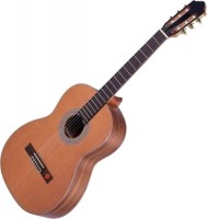Купить гитара Strunal 670  по цене от 8323 грн.