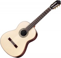 Купить гитара Walden N2010  по цене от 24591 грн.